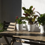 Jak stworzyć balkon, który działa jak mini ogród | Mini ogród | Unimelius.pl